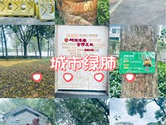 -顺峰山公园
