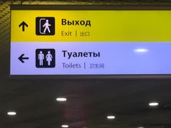 -谢列梅捷沃国际机场