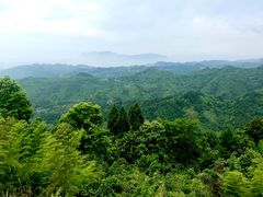 -梦幻奥陶纪景区