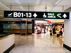 -米兰马尔彭萨国际机场