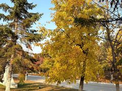 -长春世界雕塑园冰雪艺术天地