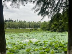 -艾溪湖湿地公园