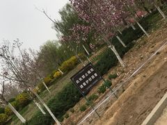 -燕郊植物园