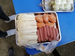 -菊园百果园