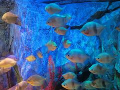 -沈阳海洋探索中心