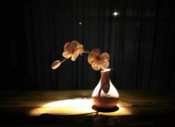 -琦品高端美容SPA私佳美场