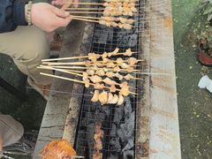 -尚庄度假村·庭台树下·户外烧烤·团建CS·轰趴营地(上庄水库店)