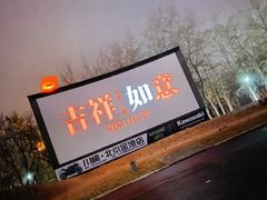 -枫花园汽车电影院(朝阳公园店)