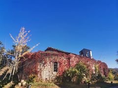 -云端咖啡(山顶教堂店)