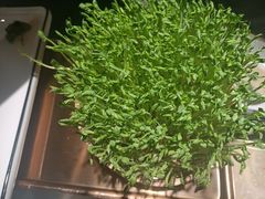 -粤小煲鲜汤猪肚鸡(丹尼斯二天地店)