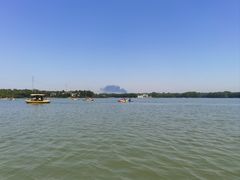 -上海海湾国家森林公园