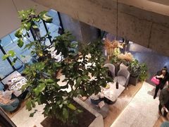 -大树餐厅(红旗街万达店)