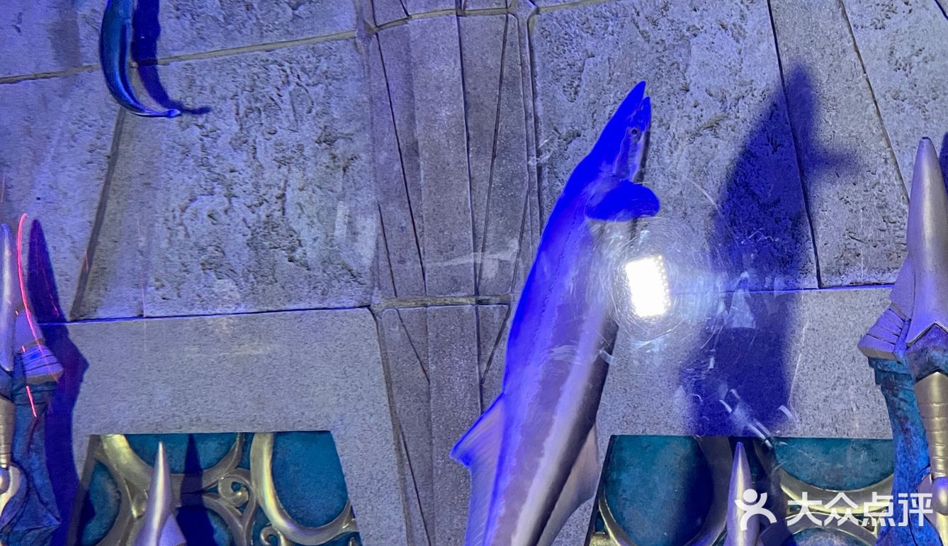 三亚沉浸式体验万圣节🎃失落的空间水族馆“深海尖叫夜