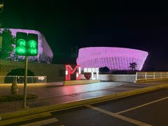 -福州海峡文化艺术中心