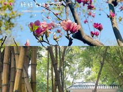 -晓港公园