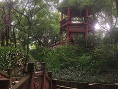 -房湖公园