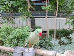 -南宫五洲植物乐园