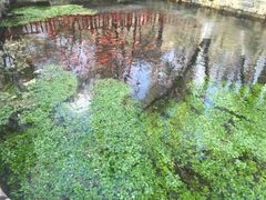 -水磨沟公园