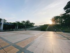 -东莞植物园