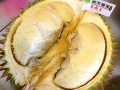 -都念榴莲·城市榴莲