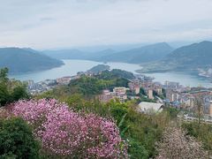 -三峡梯城