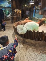 -宝燕乐园(闵行旗舰店)