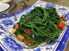 -靖远尕六美味羊羔肉