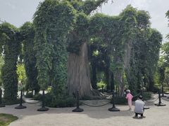 -石家庄市植物园