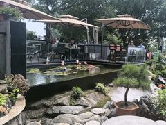 -蘇河湾·新鲁菜·泰山宴(泰山店)