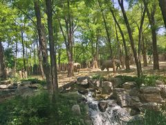 -北京野生动物园