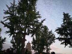 -大雁塔北广场音乐喷泉