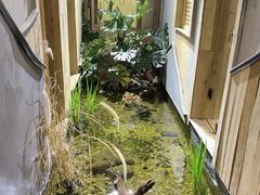 -邈墨茶馆(凤起路店)