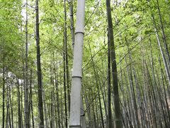 -陶祖圣境风景区