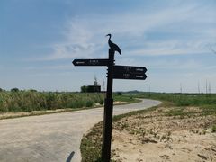 -盐城丹顶鹤湿地生态旅游区