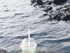 -Cafe Aewol Monsant