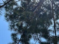 -洨河生态公园