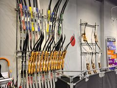 -蓝天射箭馆·专业射箭运动(诚丰广场店)