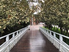 -大兴滨河森林公园