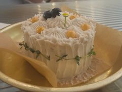 -野草莓自由市场