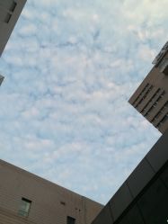 -上海交通大学医学院附属上海儿童医学中心(陆家嘴总院区)