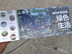 -西双版纳原始森林公园