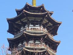 -洋湖国家湿地公园