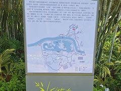 -晓港公园
