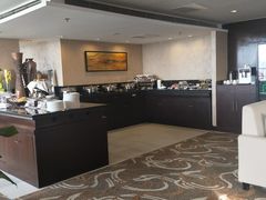 -国家会议中心大酒店