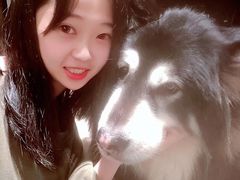 -more than meow吴止猫主题餐厅(承德 中船汇店)