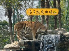 -上海野生动物园