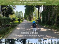 -前小桔亲子创意农场·草莓采摘·露营烧烤
