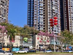 -深圳龙华星河COCO City(民治店)