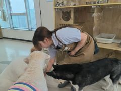 -共舞时光猫咖·狗咖(新街口店)