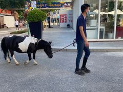 -中粮·祥云小镇